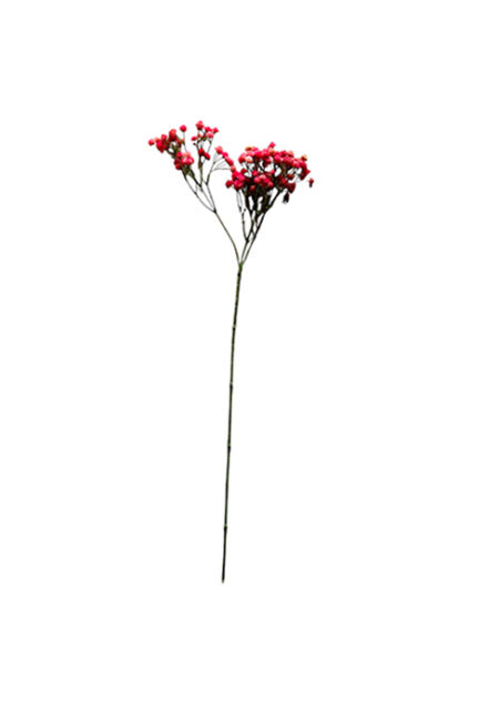 Kunsttak Gypsophilia