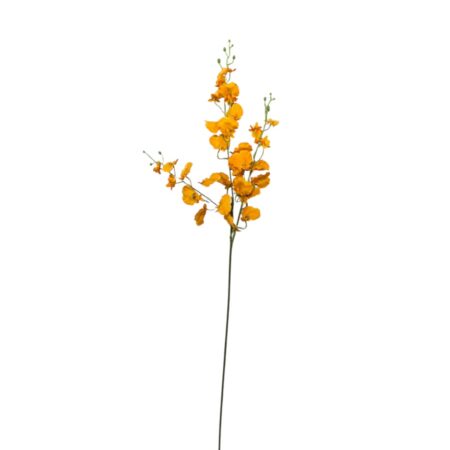 Oranje Tijgerorchidee