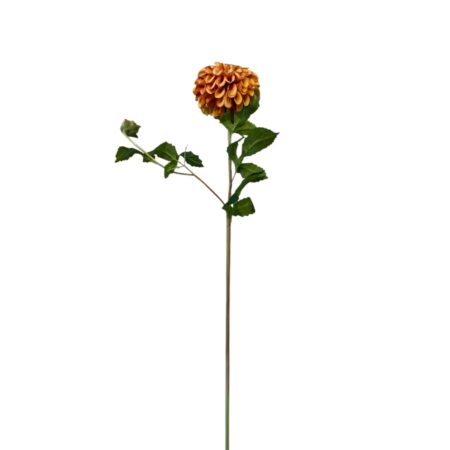 Oranje Dhalia Pompon