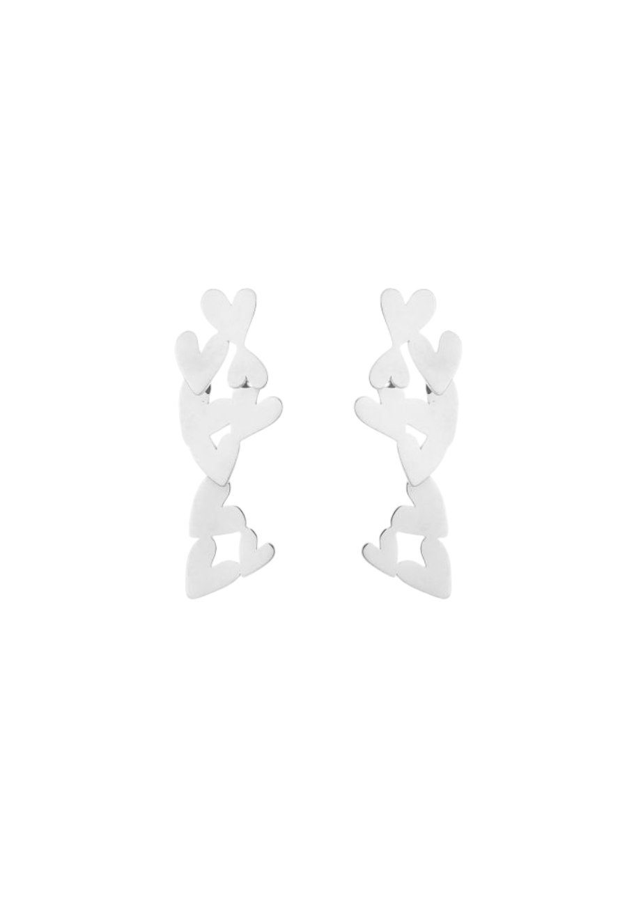 Zilverkleurige Oorbellen