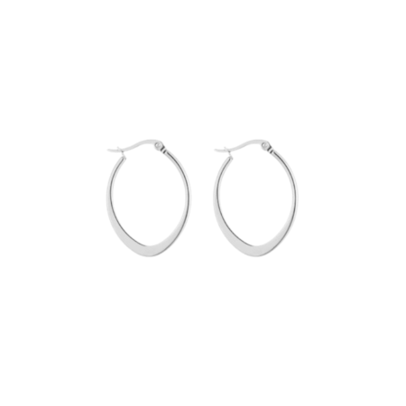 Zilverkleurige Creolen