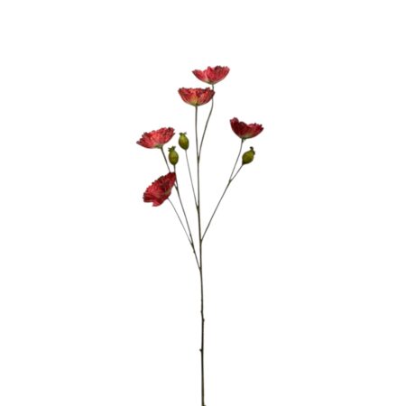 Rode kunstbloem, Poppy flower