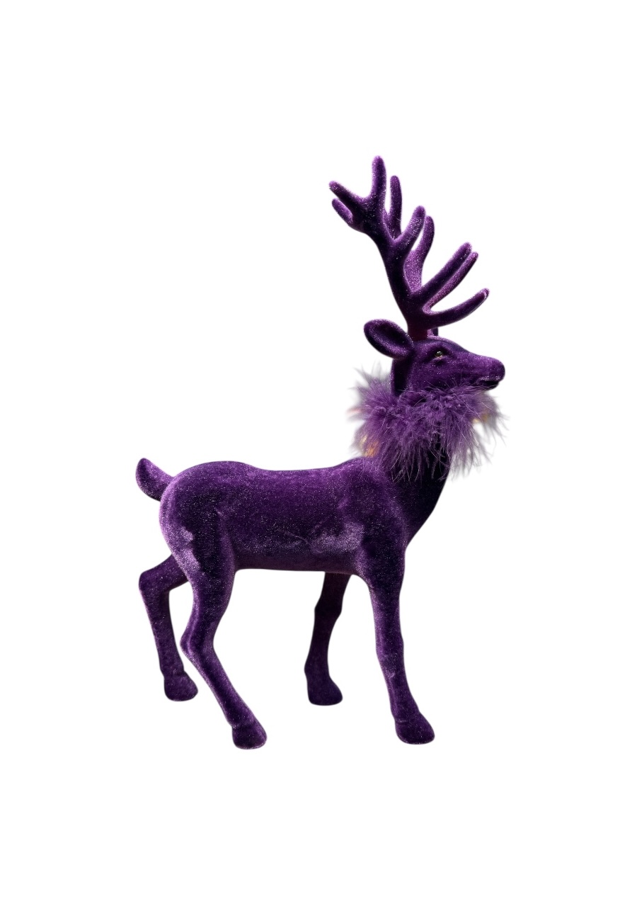 Paars Sier hert groot