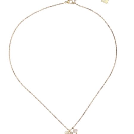 Korte goudkleurige ketting met klavertje vier