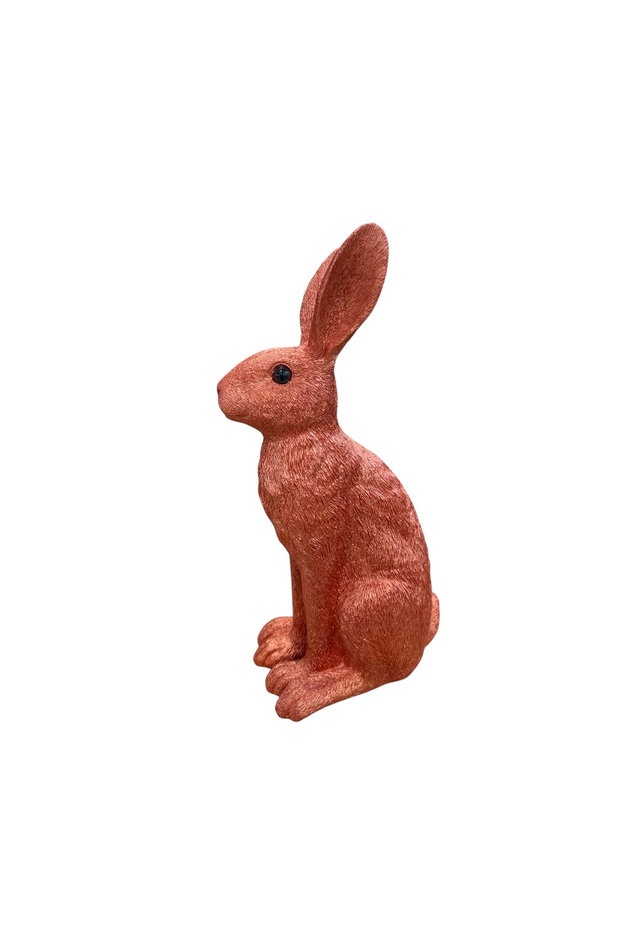 Decoratieve paashaas