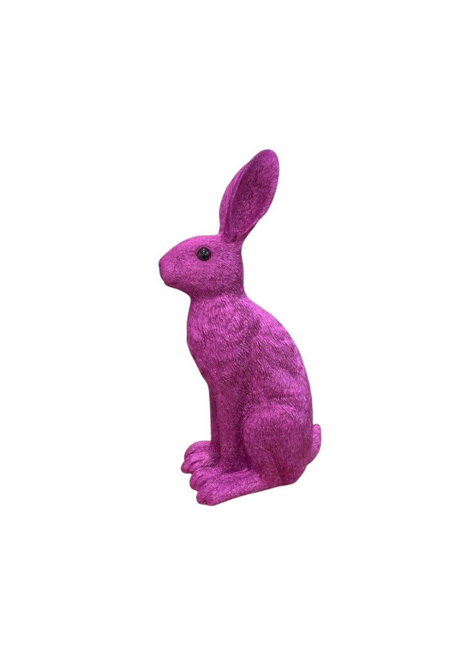 Decoratieve paashaas