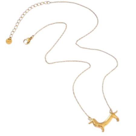 Goudkleurige ketting met teckeltje