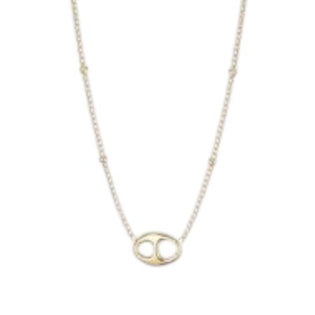 Goudkleurige Stainless steel korte ketting met bedel