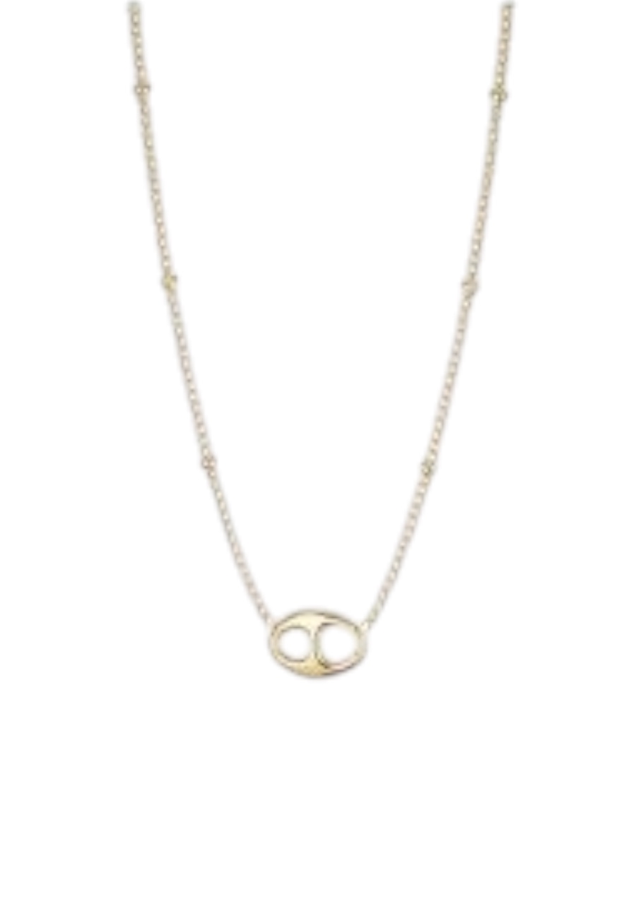 Goudkleurige Stainless steel korte ketting met bedel