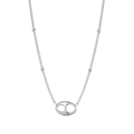 Zilverkleurige Stainless steel korte ketting met bedel