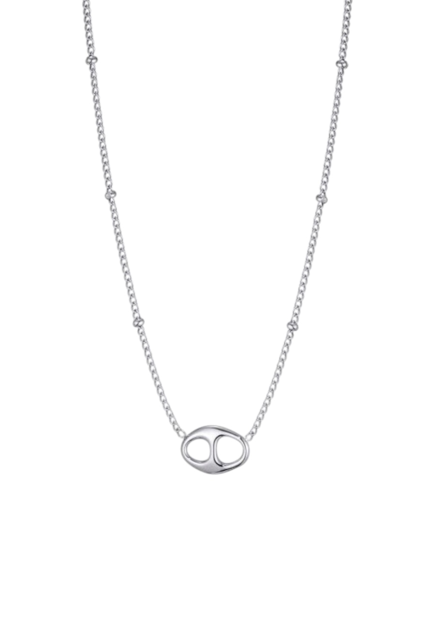 Zilverkleurige Stainless steel korte ketting met bedel