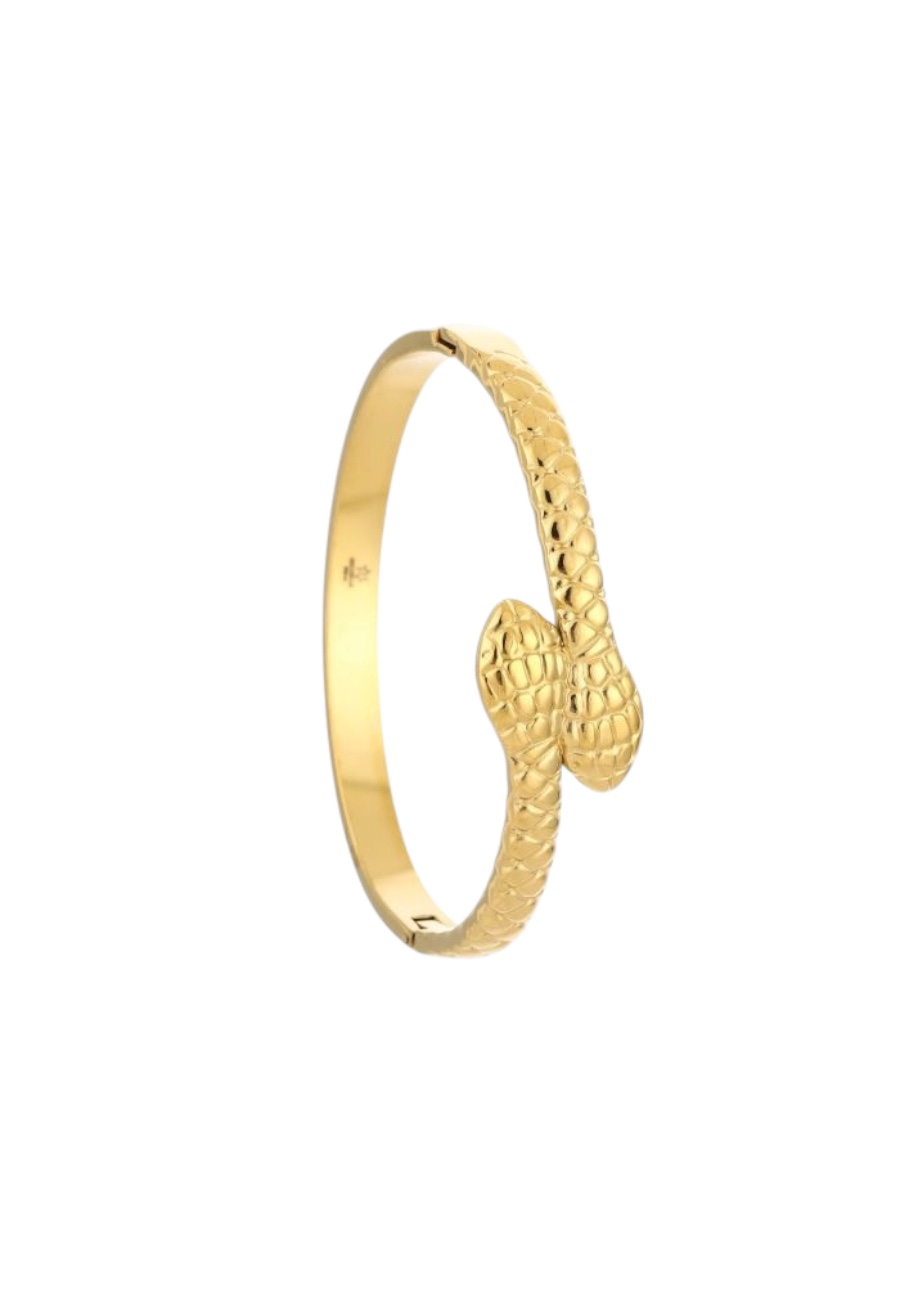 Goudkleurige bangle armband snake