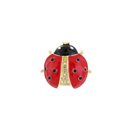 Broche met steentjes