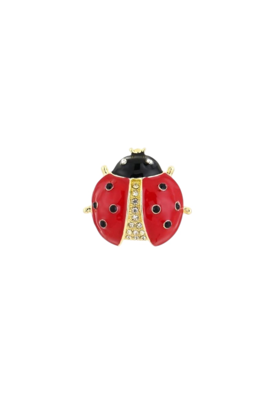 Broche met steentjes