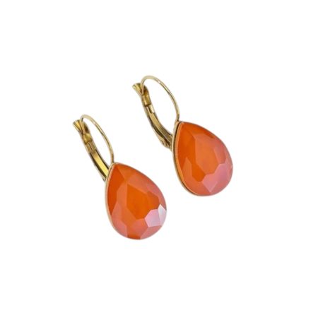 Oranje Stainless steel oorbellen