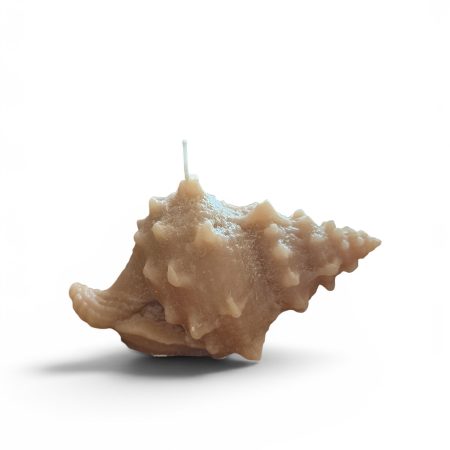 Decoratieve kaars in vorm van zeeschelp