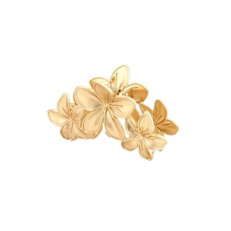 Haarclip goudkleurig