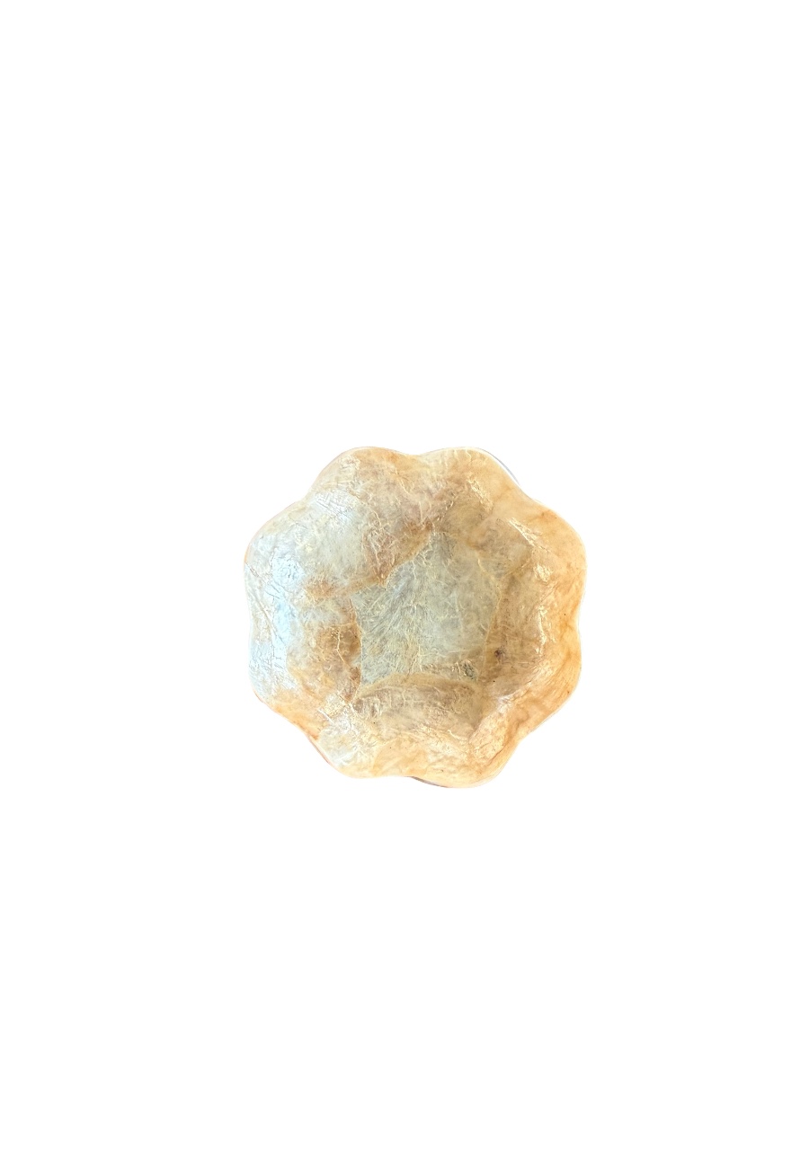 Klein parelmoer schaaltje voor amber blokje, thee zakje of tapas