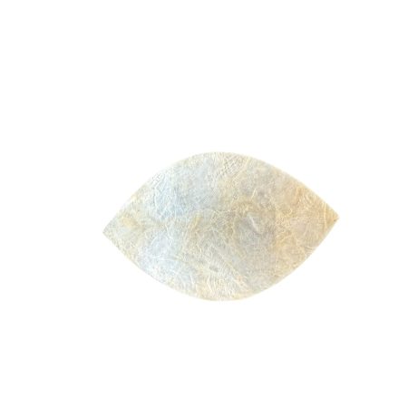 Klein parelmoer schaaltje voor amber blokje, thee zakje of tapas
