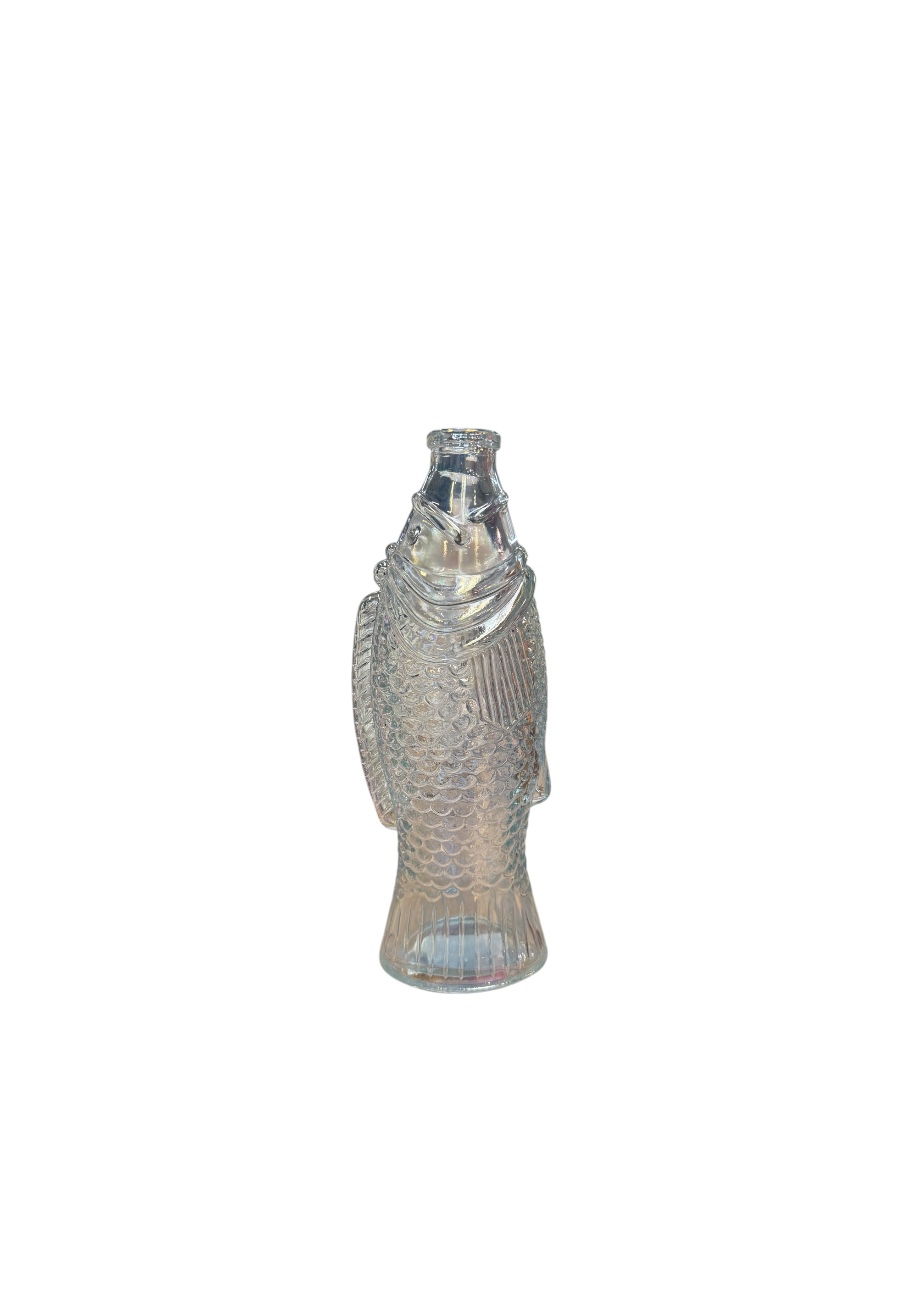 Vis water fles of vaasje