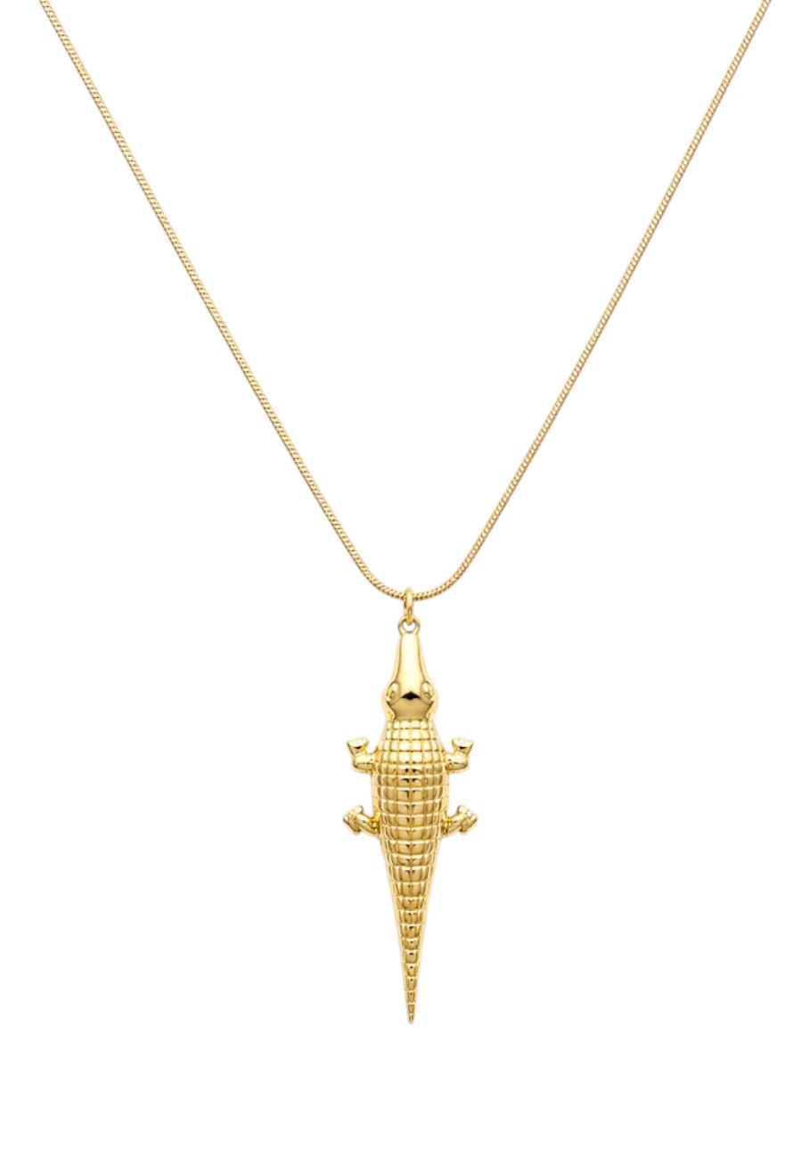 Stainless steel ketting met krokedil
