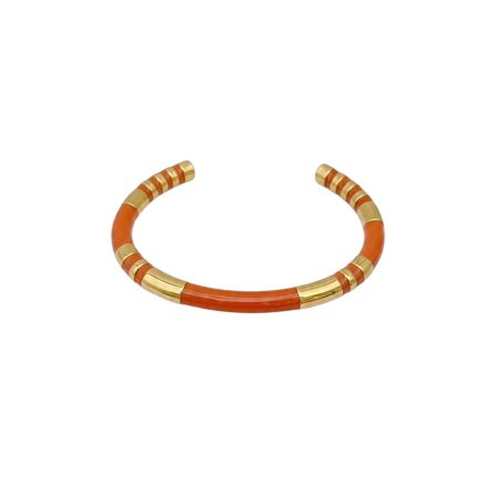 Wildlife armband, stainless steel, oranje