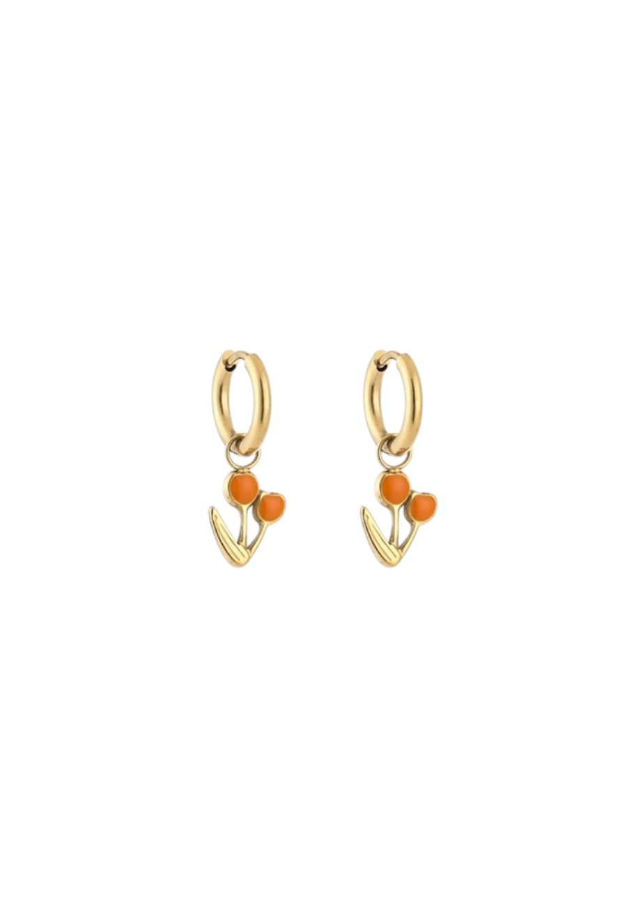 Goudkleurige oorbellen met oranje kraaltjes