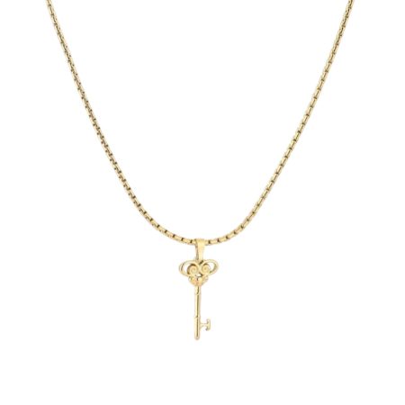 Goudkleurige verstelbare ketting met sleutel