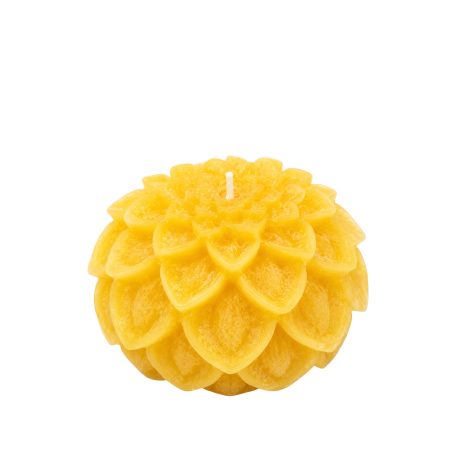 Grote gele Dahlia kaars