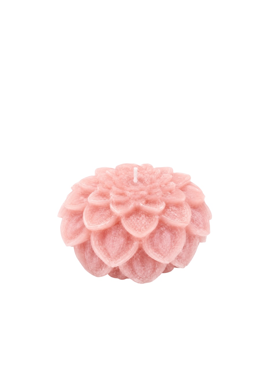 Roze Dahlia kaars roze