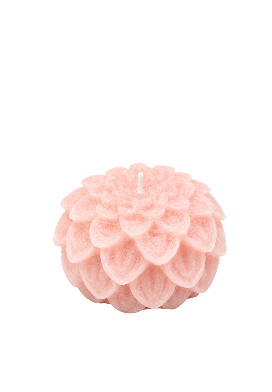 Grote roze Dahlia kaars lichtroze