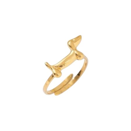 Goudkleurige ring met teckeltje