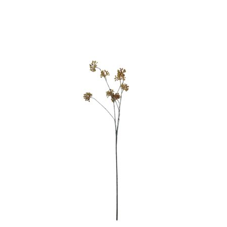 Flower for Ever Viburnum bessentak