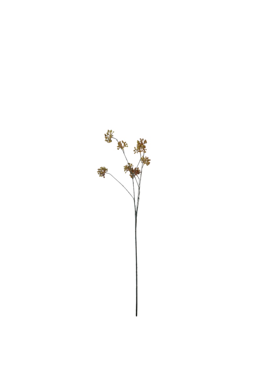 Flower for Ever Viburnum bessentak
