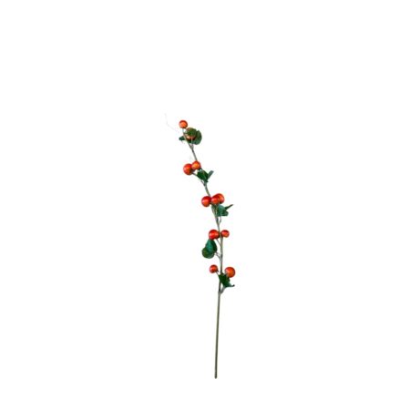 Flower for Ever vruchten tak