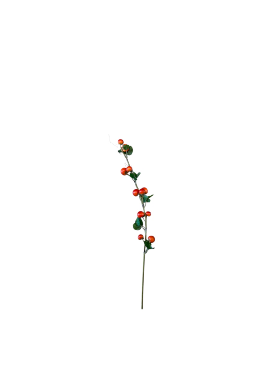 Flower for Ever vruchten tak