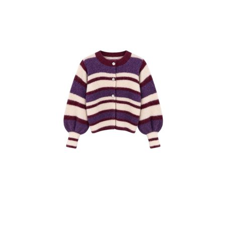 Gestreept vest paars/mauve/crême